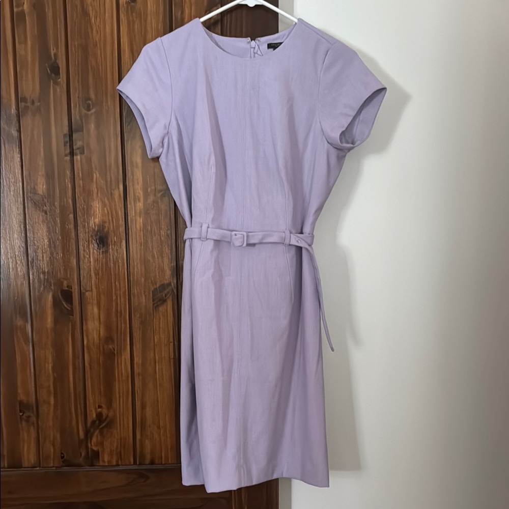 Ann Taylor Purple Sheath Mini Dress